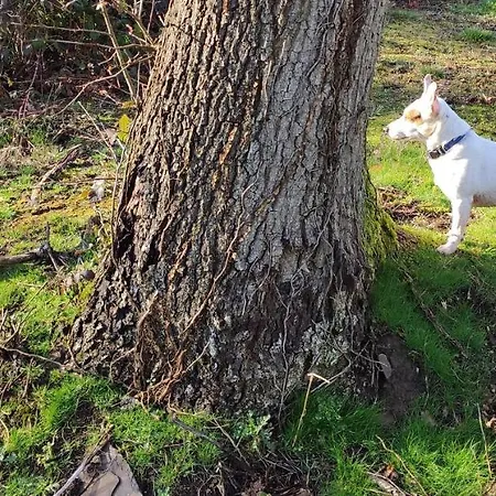 Domaine Le Haut-vent Fosses-La-Ville