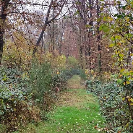 Domaine Le Haut-vent